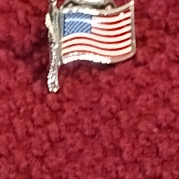 Assorted Brooch and Pin Set on Red Fabric - Picture 4 of 11